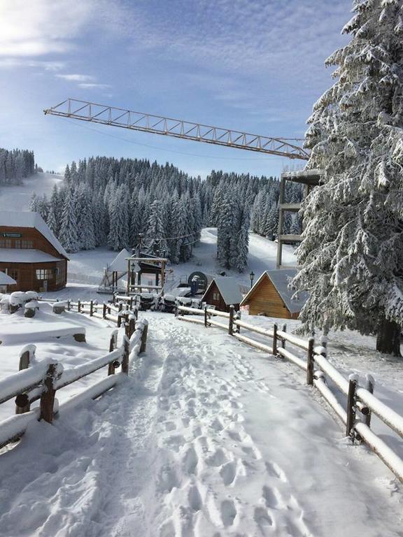 Apartments Vanja I Vrh Kopaonik Eksteriør billede