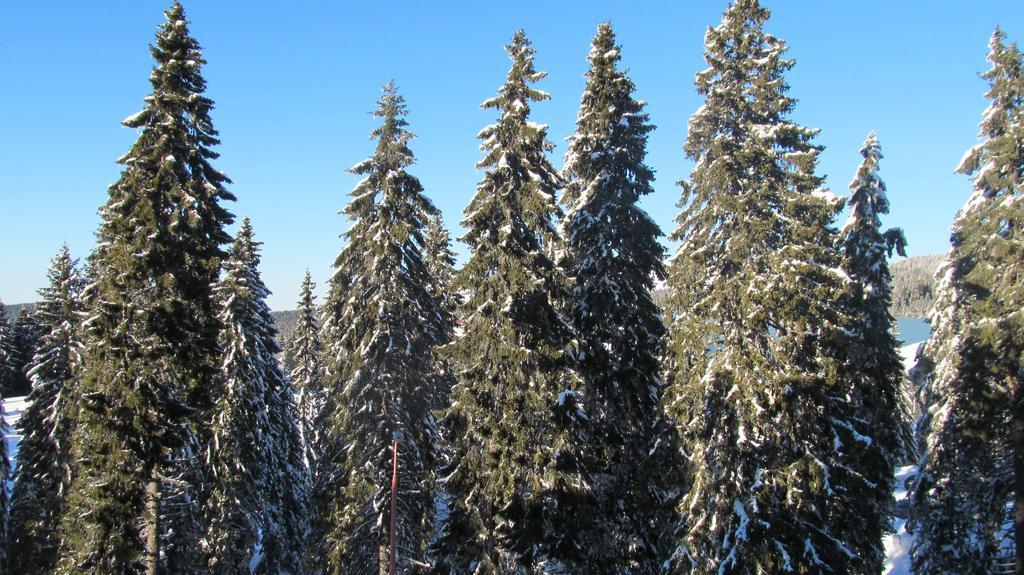 Apartments Vanja I Vrh Kopaonik Eksteriør billede
